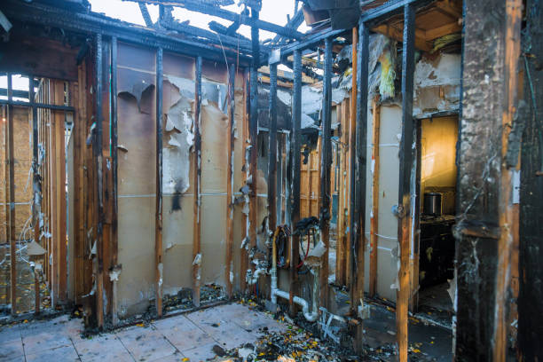 Professional Fire Damage Repair technician working in Kilauea, HI